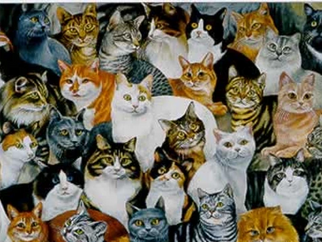 7.000 FIP Cats Saved by Basmi FIP™ 