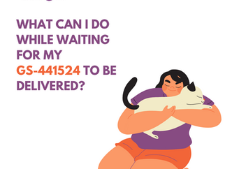 What to do while waiting for GS-441524 to arrive?